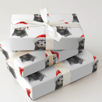 Santa Hat Pup Holiday Gift Wrap, Baby Seal Christmas Wrapping Paper, Adorable Winter Animal Wrapping Paper, Festive Ocean Theme Wrapping Paper