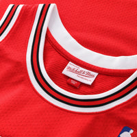 Chicago Bulls Michael Jordan 1994-95 Road 45 Authentic Jersey - Red