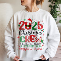Humorous Family Matching Holiday Sweater, 2025 Christmas Crew Sweatshirt, New Year Xmas Party Crewneck, Festive Holiday Vacation Pullover