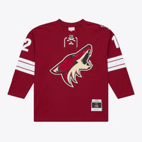 Arizona Coyotes Paul Bissonnette Garnet 2011/12 Power Play Jersey