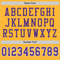 Custom Gold Purple-White Mesh Authentic Throwback Football Jersey