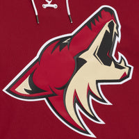 Arizona Coyotes Paul Bissonnette Garnet 2011/12 Power Play Jersey