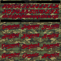 Custom Baseball Jersey - Camo Red-Navy Authentic Salute To Service