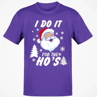 Humorous Santa Claus Graphic Tee, I Do It for the Hos Christmas T-Shirt, Hilarious Holiday Meme Shirt, Xmas Party Present