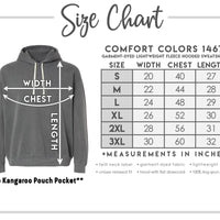 Route 66 Shirt, Historic Highway, Comfort Colors T-Shirt, Hoodie, Sweatshirt, Long Sleeve, Kids Tee, Road Trip Adventure