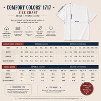 Custom Route 66 Centennial Comfort Colors Shirt, 100 Years of the Mother Road Tee, Road Trip Shirt, Family Vacation Route 66 Travel Gift