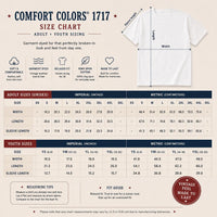 Custom Route 66 Centennial Comfort Colors Shirt, 100 Years of the Mother Road Tee, Road Trip Shirt, Family Vacation Route 66 Travel Gift
