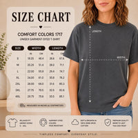 Route 66 T-Shirt, 100 Years Centennial Vintage Road Trip Graphic, 'Drive the Legend' Distressed Retro Americana Top