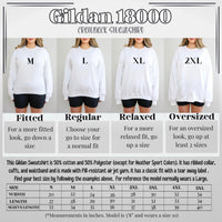 Retro Route 66 100th Anniversary Tee, 1926–2026 Centennial Sweatshirt, Americana Road Trip Hoodie